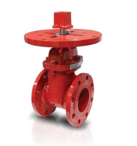 Resilient Wedge NRS Gate Valve(Connection : Flange diameter )