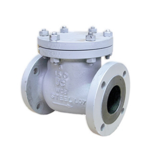 Swing check valve BC/PSB